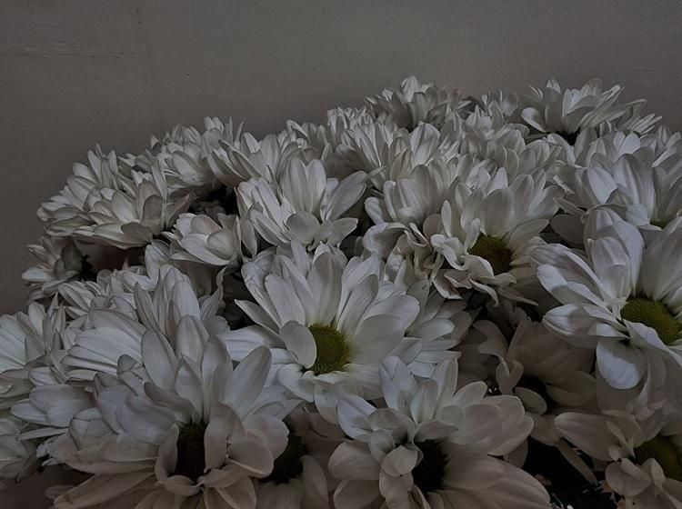 ���������� ��������������� ���������� ����������������� ������� ��������� ������� ������ ��������� ������ �������� ��������� �������, ����������� ��� ������������ �������������� �����