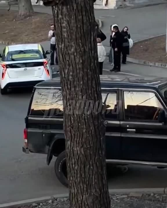 �������� �������� ���� ��������� �� ������ �� ������������