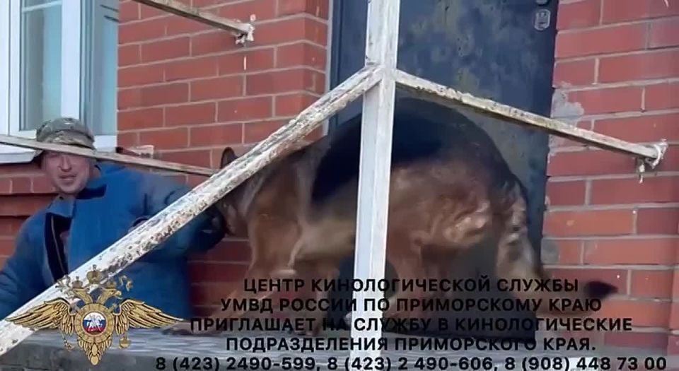 �� ������ �����? ����� �������������� ������ ���� ������ �� ����������� ���� ���������� �� ������