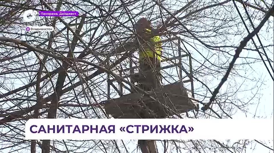 �� ������������ ���������� ���������� ������� ��������