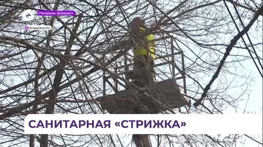 �� ������������ ���������� ���������� ������� ��������