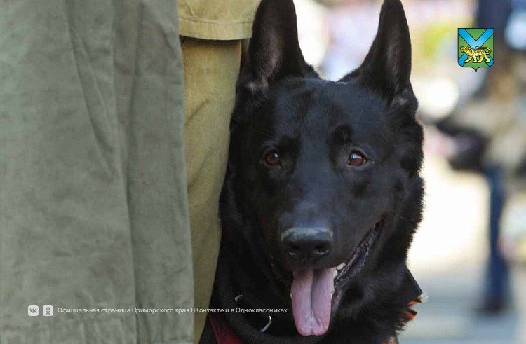 �������� � ������������ ��������� � �������� ��������� ���������� ���������