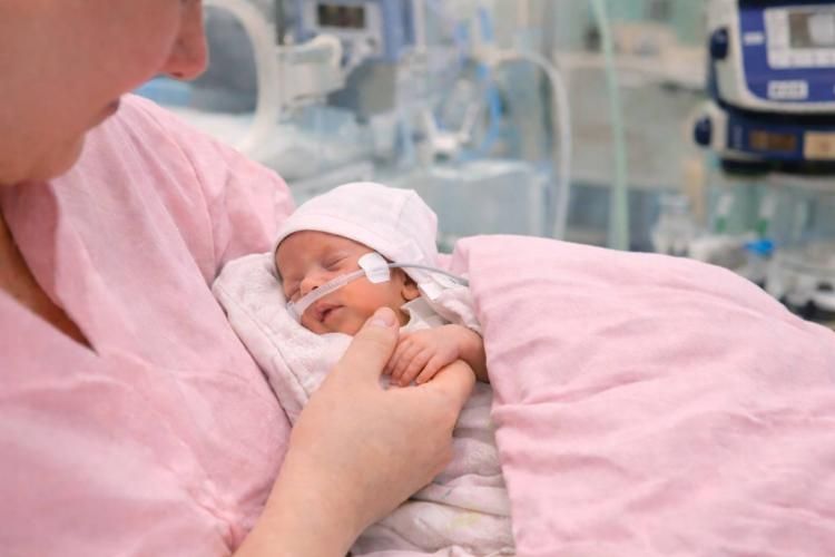 � ������� ������������� ������ �������� ����� �������� ������������ ������� � ������������ ������ ����� � ����� 460 �������