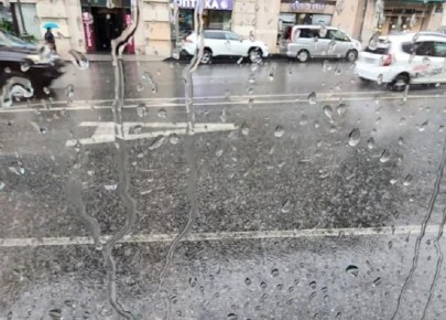 ����� � ���� ��������� �� ��������: ����