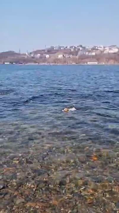 �� ������������ � ����� �����-����� ����� ���������� �������� ����� ������