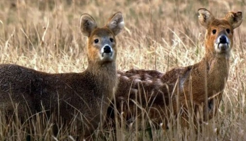 1 � �������� ����������� ������� ������ ������� � ������ ����