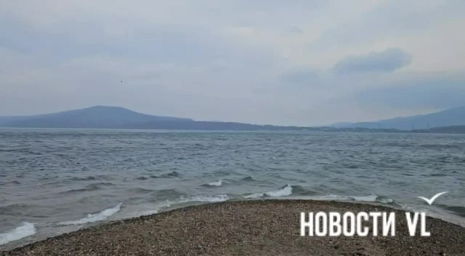 ������� �� ����� ������� �����, ����� � ���� �� ������ �� ��������