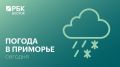 Сегодня в Приморье пройдут осадки, местами сильные (дождь, вечером на севере со снегом)