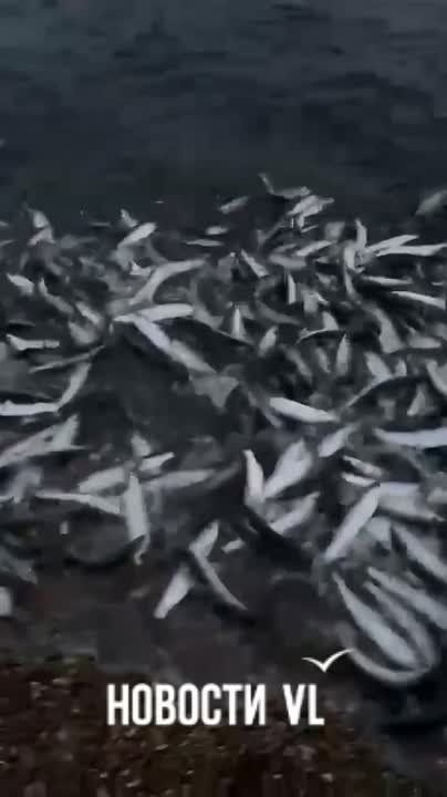 ��������� ������� �������� ������ � �������� ���� �� ��������, � ���, ��� ����� ������� ����� �� �����, ���� ��������� ���� ��� � ����