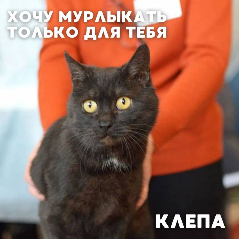 ������� � ������� #���_�������� ������� ����������� �� ����� �����������, ������� ����� ���� ����� �������������� �������� �� ��������� ���������� � ���� �� ������ ���