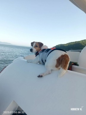 ����� �� ������ ����: ��, �������� ������ �� �����, ���� ������� ��������