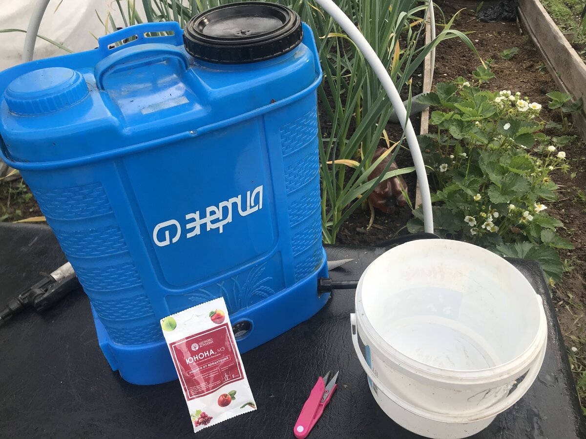 Эко-решение для садоводов: биоинсектицид «Юнона» показал отличные результаты