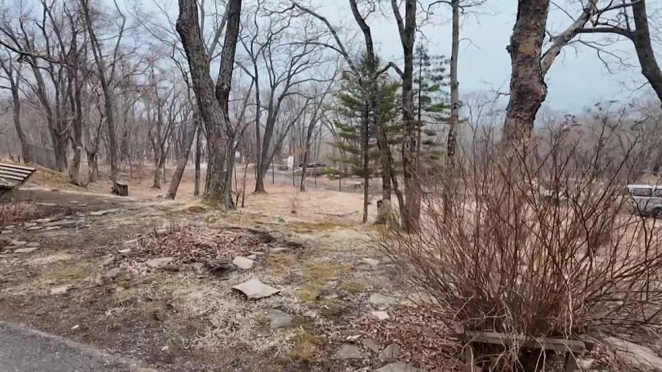 �� ������������ � ������������� ������ ����������� ������� ������� ��������� �����