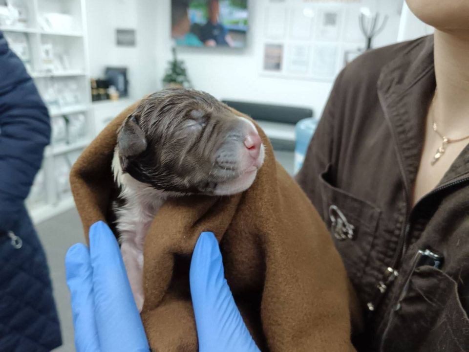 �� �������� ����� � ������ ���: ������ ������ ����� � ��������