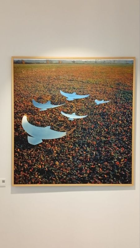 Прогулка по Москве. Москва радует своим художественным разнообразием