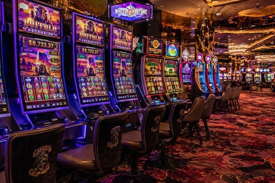 ������������ ������� ��������� � 2025 ���� ����������� �� 12%