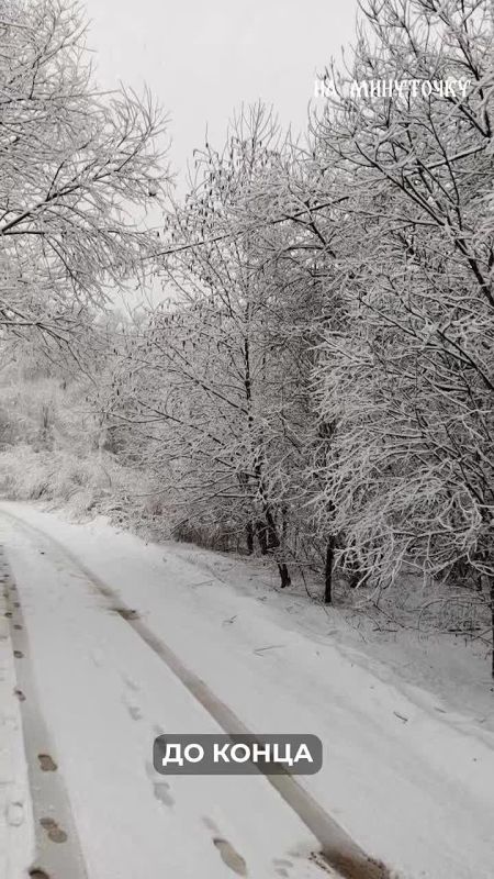 ���� � ����� ������� �������� ���� �����