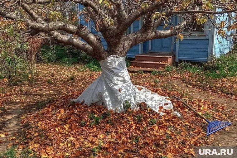 ���������� ���� � ���� � ������