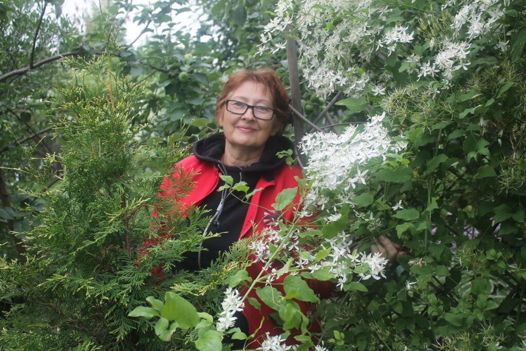 Зимние размышления садоводов: мечты и планы на будущее