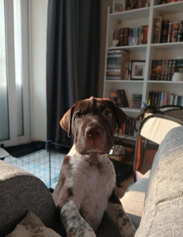 � ����� ������ ���������� �������� ��������� ���������, �� ������������ ��������: ����� � ������� ��� �������� ������ ����