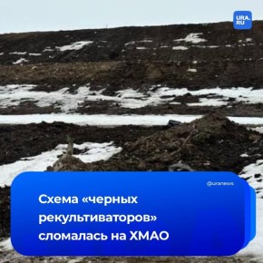 Полмиллиарда рублей закопали в мусоре: дело куратора рекультивации скандального полигона ушло в суд
