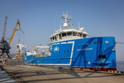 Представляем новые проекты, которые успешно реализованы либо стартуют на Дальнем Востоке и в Арктике с использованием механизмов господдержки #нашипроекты