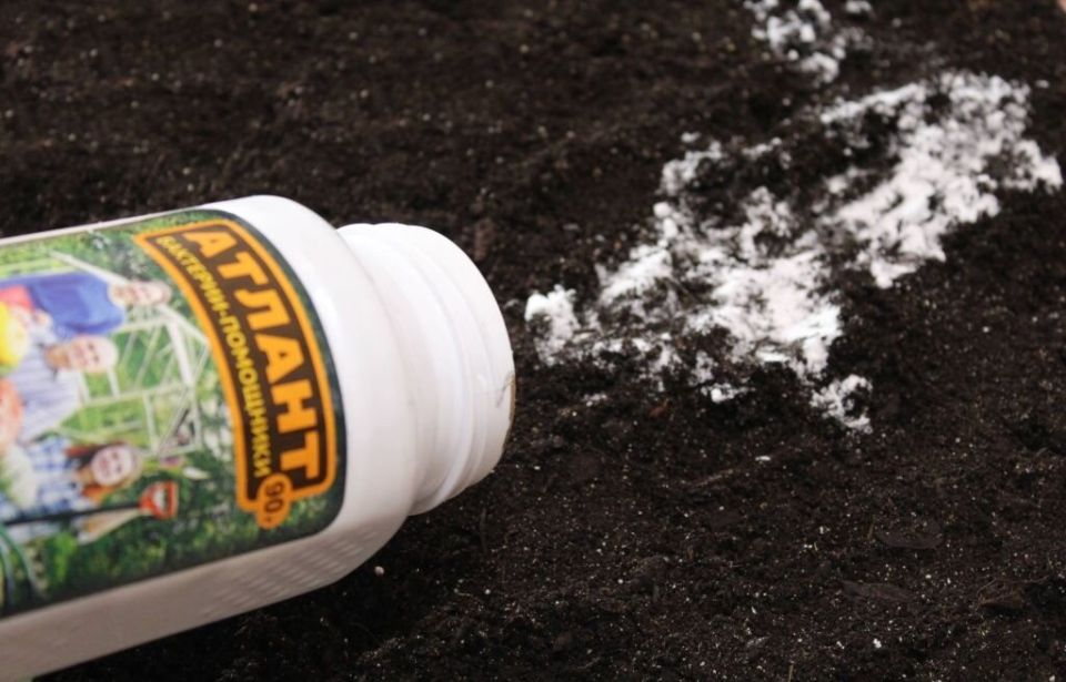 ��� ��������� ��������� ����������: �������������� � ����������