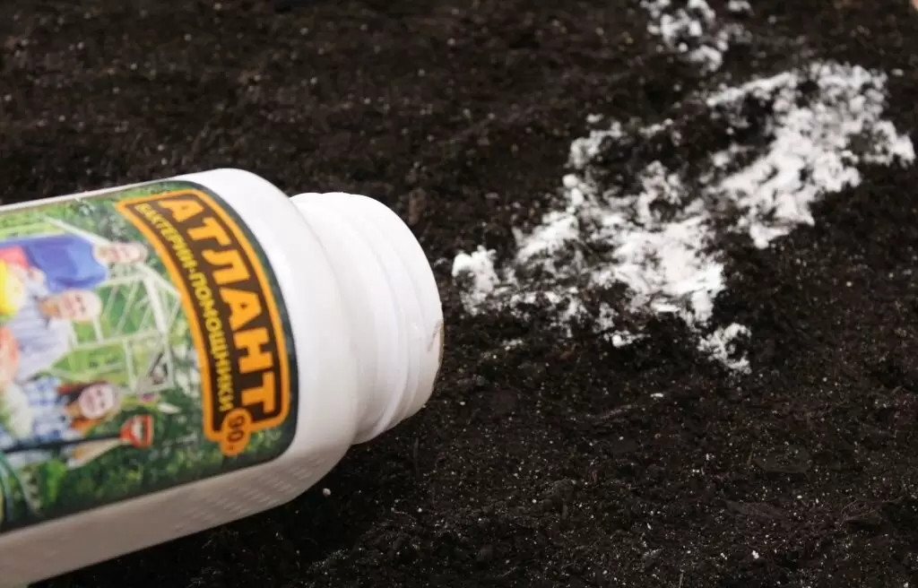 Как вредители научились защищаться: резистентность к пестицидам