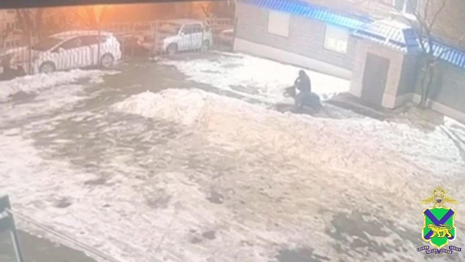 � �������������� ������ �������� ����� ������