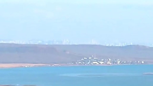 Редкий дальневосточный леопард впервые попал в кадр на фоне Владивостока и знаменитых вантовых мостов — Золотого и Русского