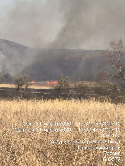 ������������ �������� ������� �������� ������ ������ �� ���������� ������