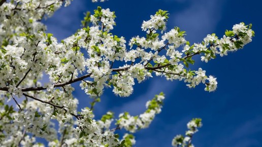 ��� �������� ���� �� ������ ������: ������� ��������� ��������