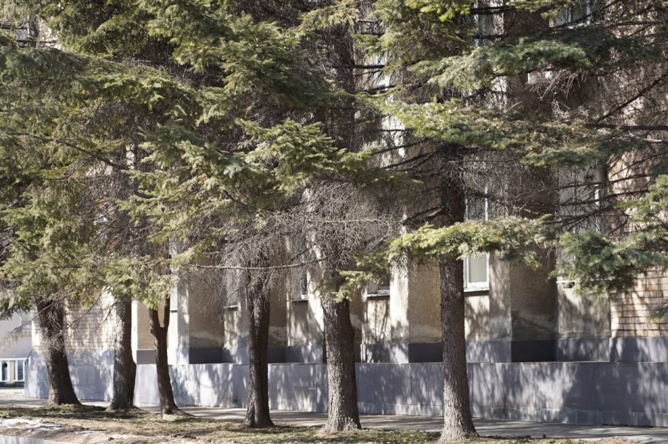 ������ ����, ���������!. ������� �������, 9 ������