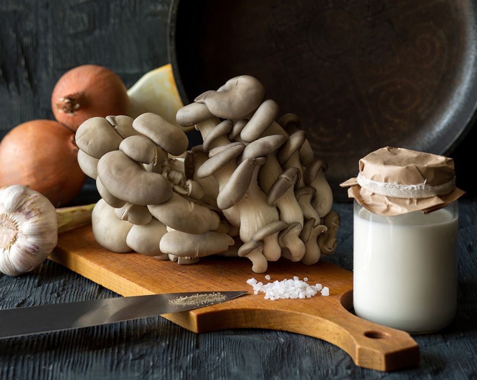 ¸�����: ����������� ������������ � ������� �������������