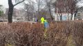 Городские парки и скверы Уссурийска обрабатывают от клещей