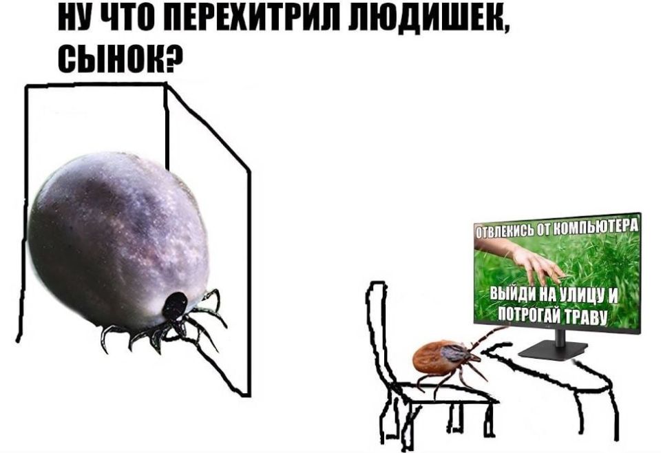 � �������� ������ ������ ������������� ���� �������� ������������ ��������