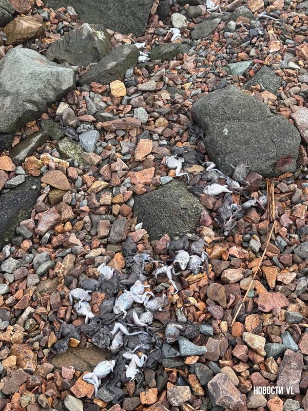 ���������� ��������� ����� 50 ������ ����� ��������������� ������� �� ������ ���� �� ������������