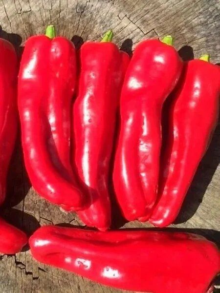 ��������� ������� �����: ��� ��������� ������� � ��������� �������� �� ����� �������