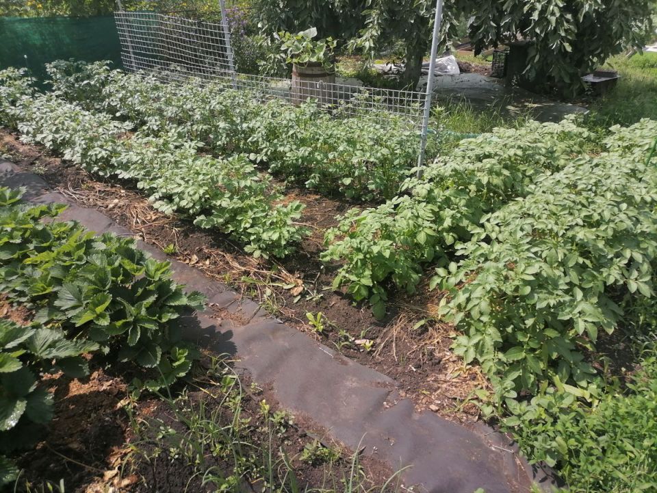 ���������� ��������: ������� ��������� ����� ������