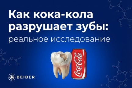 ���� ���� ��� �����: ��� ������� ������