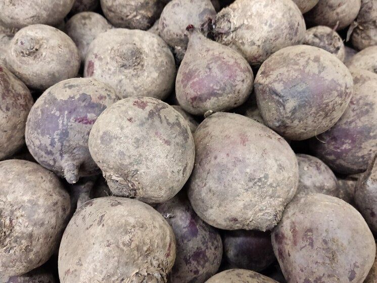 ���������� ������� ����� ������: ��� ������ � ����������?