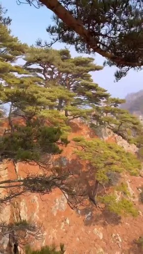 Мыс Сосновой расположен в Приморском крае ( Россия), на территории Дальневосточного морского биосферного заповедника