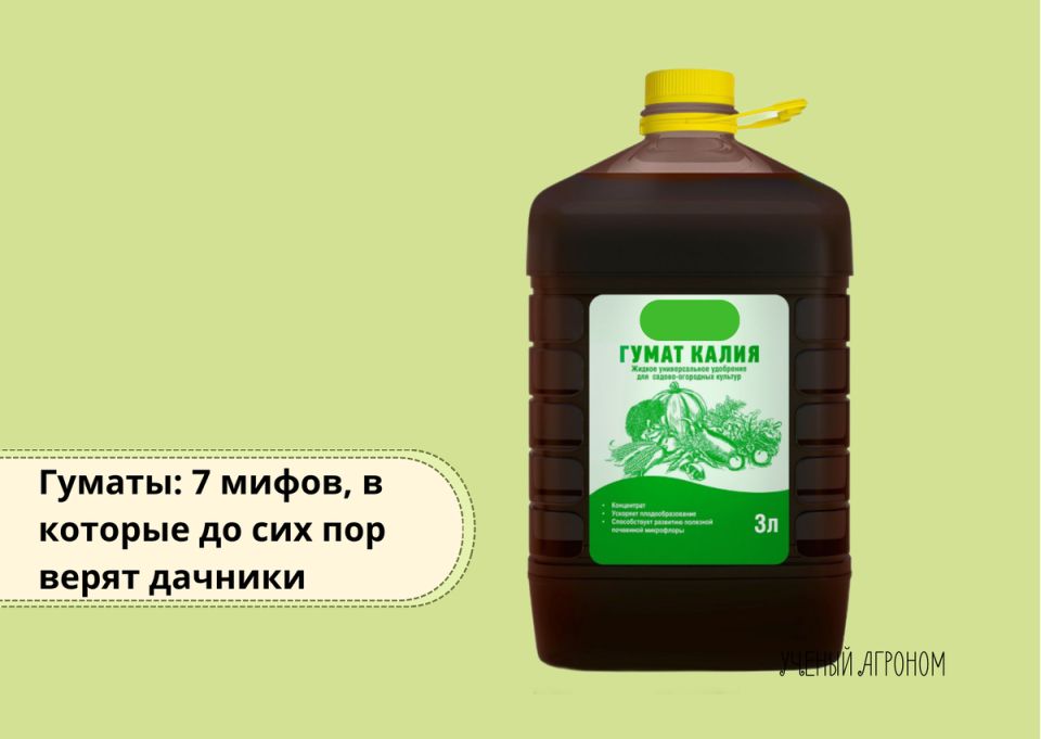 ������: 7 �����, ������� ������ ��������