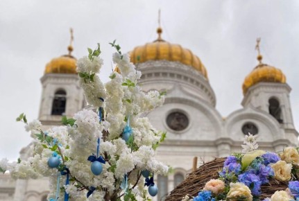 ������� ������� ������ �������� � ���� ������������ � ������� ���������� �����������