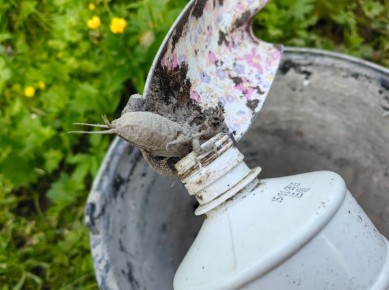 ���������� ��������� ������ � ����������: ������� � ������