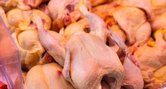 ������ ���� ������ ����� �������� � �� ������ ����