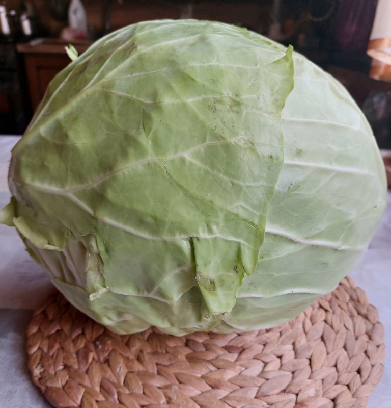 ������� � ����� �������: ������� � ��������