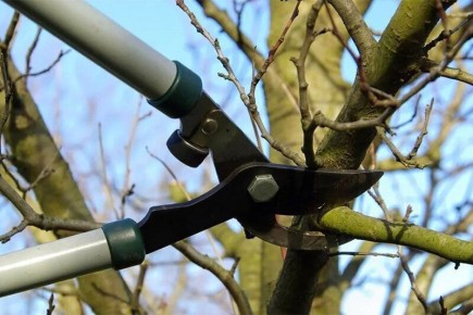 �������� ����������� ����: ��� ��������� �������� �������� �������