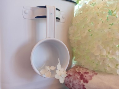 � ���� ��������: ��������, ������� ����� �� ���������