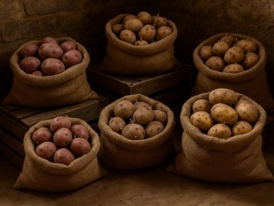 ��� ���������� ������� �������� ��������� ��������� ��� ��������